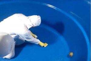 ارخص شركة تنظيف خزانات مكة